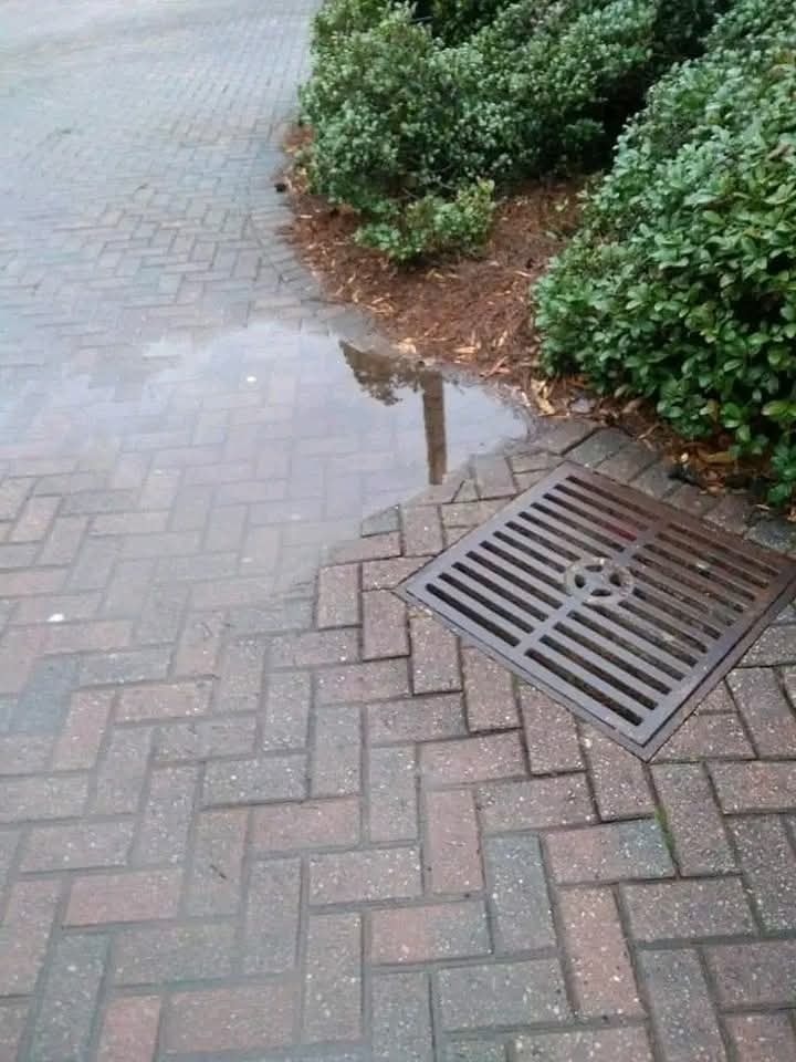 Mlákaje odrazom lampy na dlažbe vedľa odtokovej mriežky a kríkov, vytvára jedinečný vizuálny dojem.