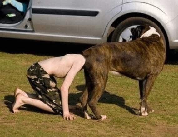 Ľahko oblečený človek v komickej póze pri psovi na tráve pred autom.