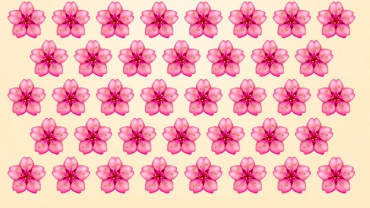 Ružové kvety usporiadané v symetrickom vzore na svetlom pozadí.