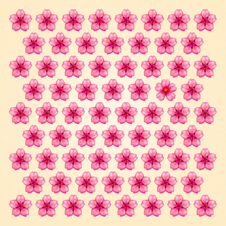 Ružové kvety usporiadané do pravidelného vzoru na bledom pozadí, jeden kvet výraznejší žltým stredom.