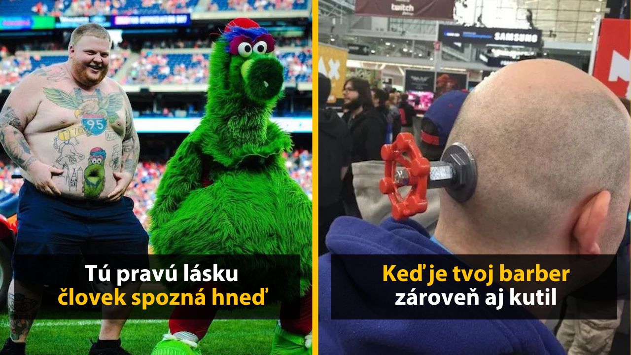 30+ Obrázkov, ktorými dokonale zabiješ čas #640 – Röntgen pre lúzrov alebo prasa v šatách