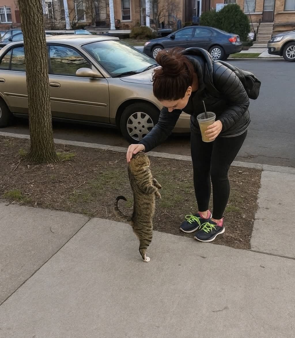 Žena hladkajúca mačku stojacu na zadných nohách na chodníku pred parkovanými autami.