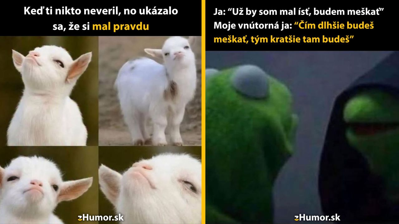 Zopár memes, ktoré vznikli, aby ti spríjemnili deň #1625: Ja som vám to všetkým hovoril.