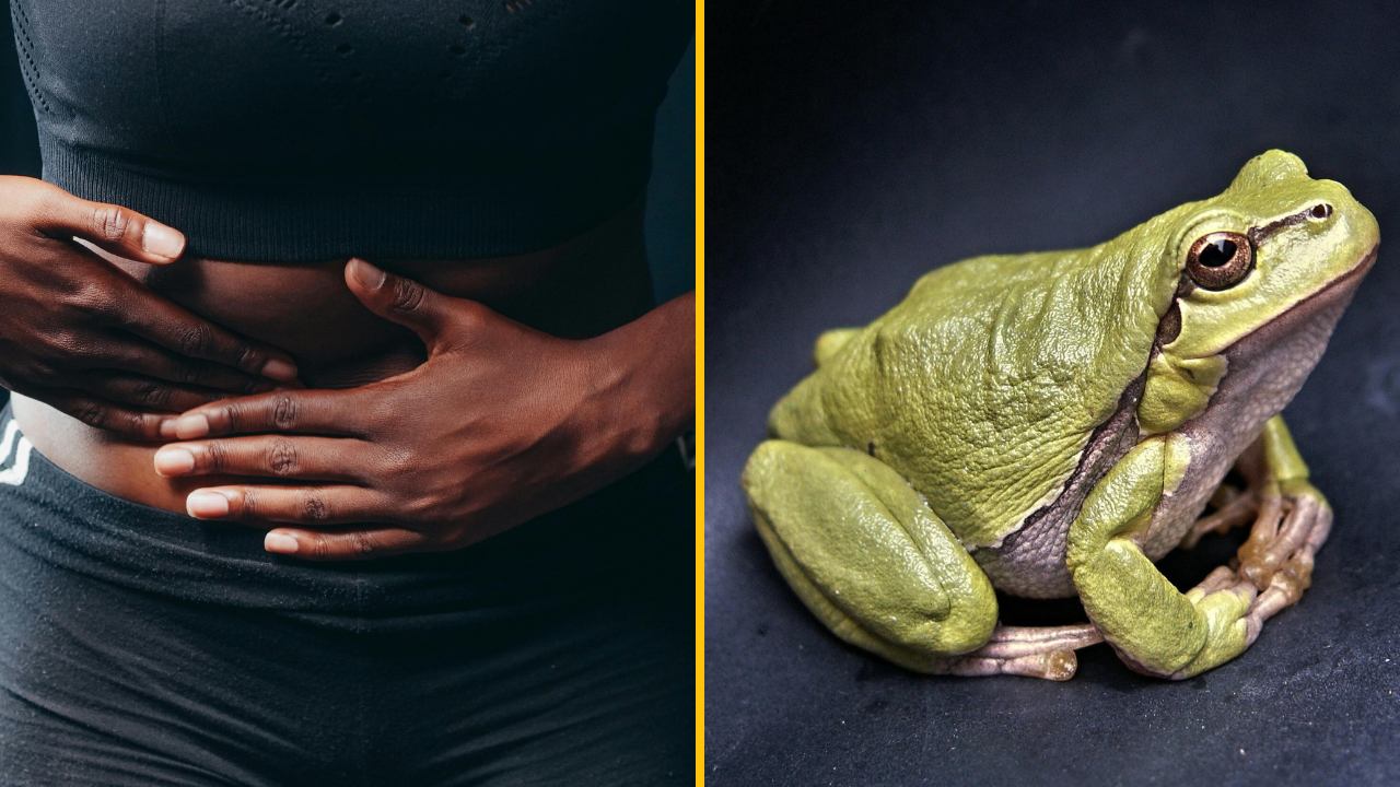 Osoba drží brucho vedľa obrázka žaby na čiernom pozadí.