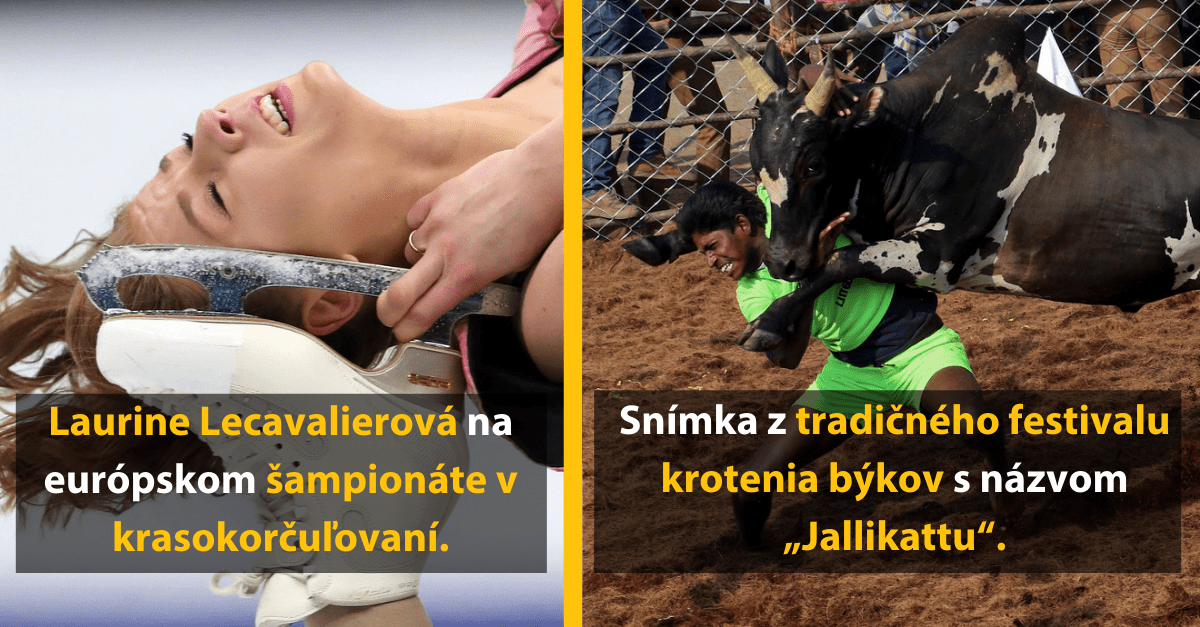 Žena počas krasokorčuľovania a muž s býkom na tradičnom festivale krotiteľov býkov Jallikattu.