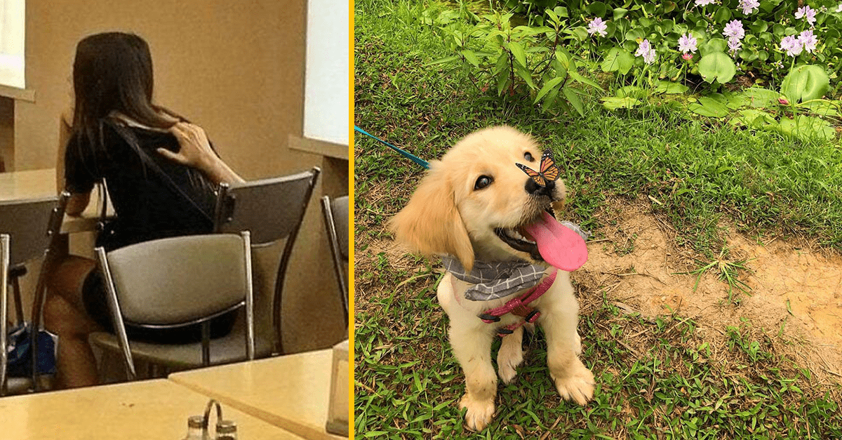 Žena v objatí pri stole a šteňa so šťastným výrazom s motýľom na nose.