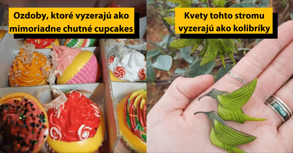 Krabička farebných ozdôb ako cupcake a zelené kvety pripomínajúce kolibríky na ruke človeka.