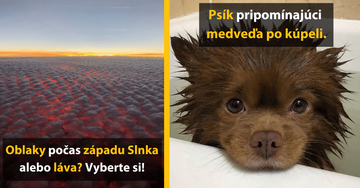 Oblaky pri západe slnka vyzerajú ako láva. Psík pripomína medveďa po kúpeli. Vyberte si svoj obľúbený obraz!