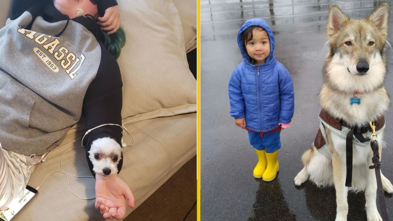 Dieťa v modrej bunde a žltých čižmách pri veľkom psovi; malé šteňa leží na ruke osôbke v mikine na gauči.