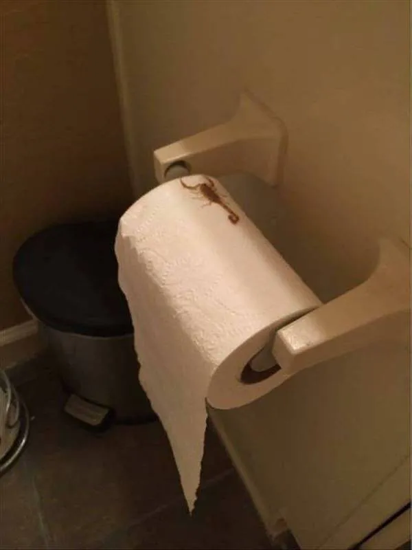 Toaletný papier s drobným škorpiónom na držiaku v kúpeľni.