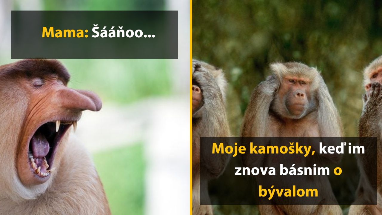 Opičia tvár s výrazom prekvapenia a tri opice s neutrálnym výrazom, s textom o reakciách na rozhovor o bývalom.