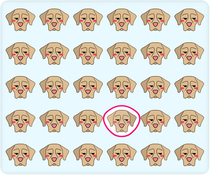 Riadky a stĺpce smutných psích tvárí s jedinečným psom so zábavne otočenými ušami, označený ružovým kruhom.