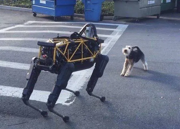 Malý pes šteká na robotického psa na parkovisku.