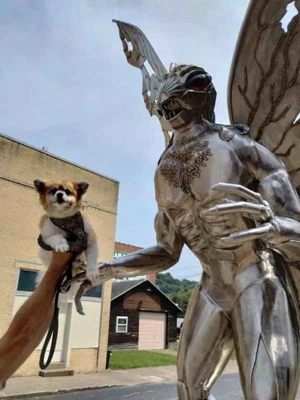 Osoch Mothmana na ulici s malým psíkom v náručí, ktorý pozoruje okolie, tvorí zaujímavý kontrast medzi rozprávkovým a reálnym.