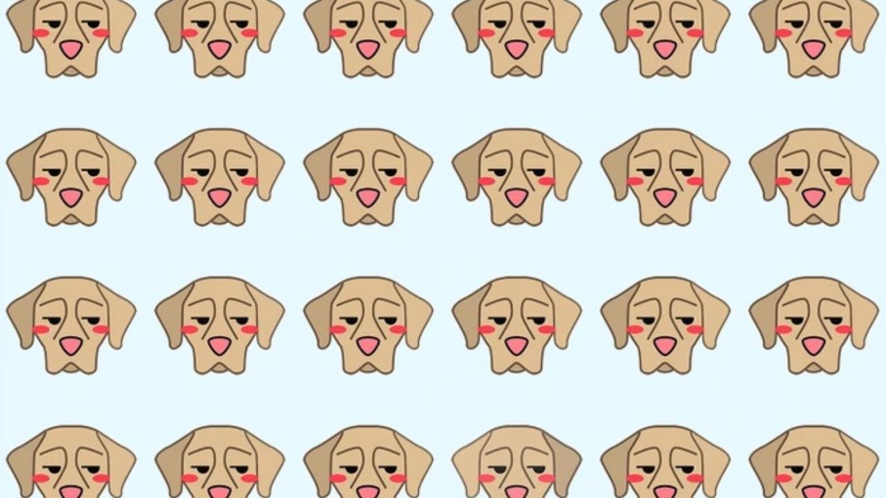 Opakovane smutné psie emoji s červenými lícami na svetlom pozadí.