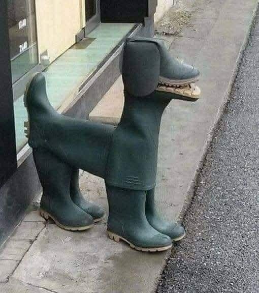 Gumáky usporiadané do tvaru psa na chodníku vedľa obchodu.