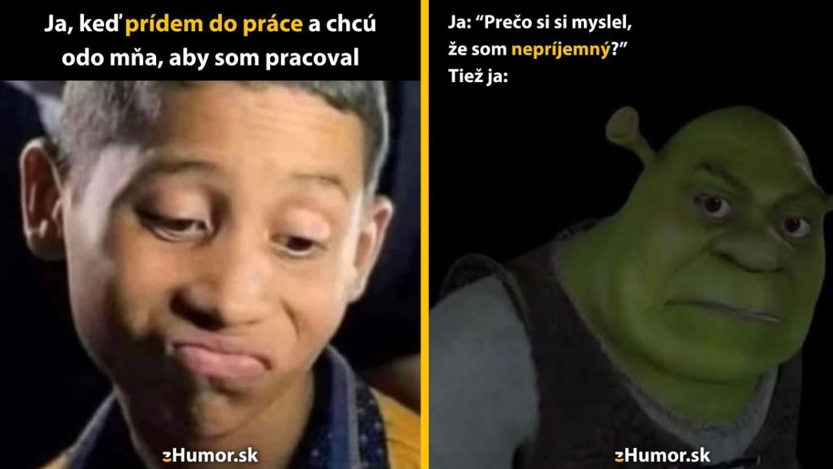 Dvojitý obrázok: ironický výraz mladíka a animovanej postavy, sprevádzané vtipnými komentármi o práci a nepríjemnosti.