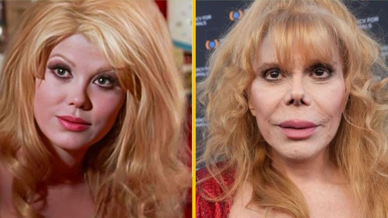 Dve ženy s dlhými blond vlasmi, porovnanie ich vzhľadu v rôznych obdobiach života.