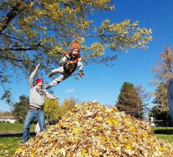 Dieťa skáče do kopy jesenného lístia, otec ho povzbudzuje, slnečný deň, modrá obloha, zábava na jeseň.