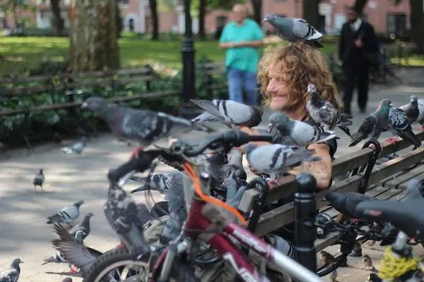 Muž na lavičke v parku obklopený holubmi, vedľa neho bicykel.