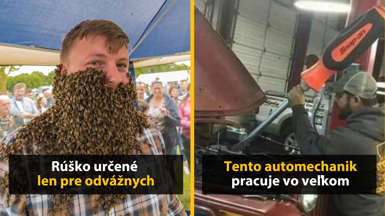 Muž s bradou z včiel a automechanik s obrovským kľúčom, humorné situácie na festivale a v dielni.