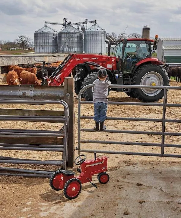 Dieťa sledujúce traktor a kravy na farme, stojace pri bráne s malým červeným vozidlom v popredí.