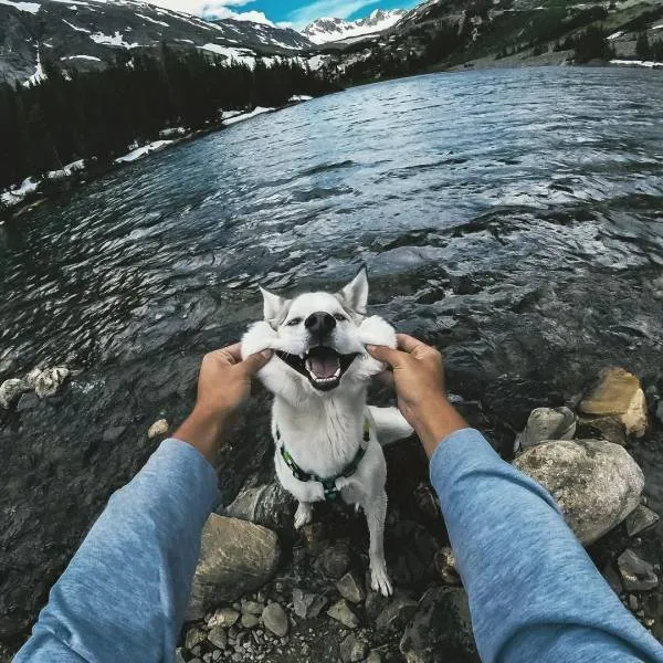 Pes pri jazere s úsmevom, človek mu jemne naťahuje líca, horská scenéria v pozadí, modrá obloha.