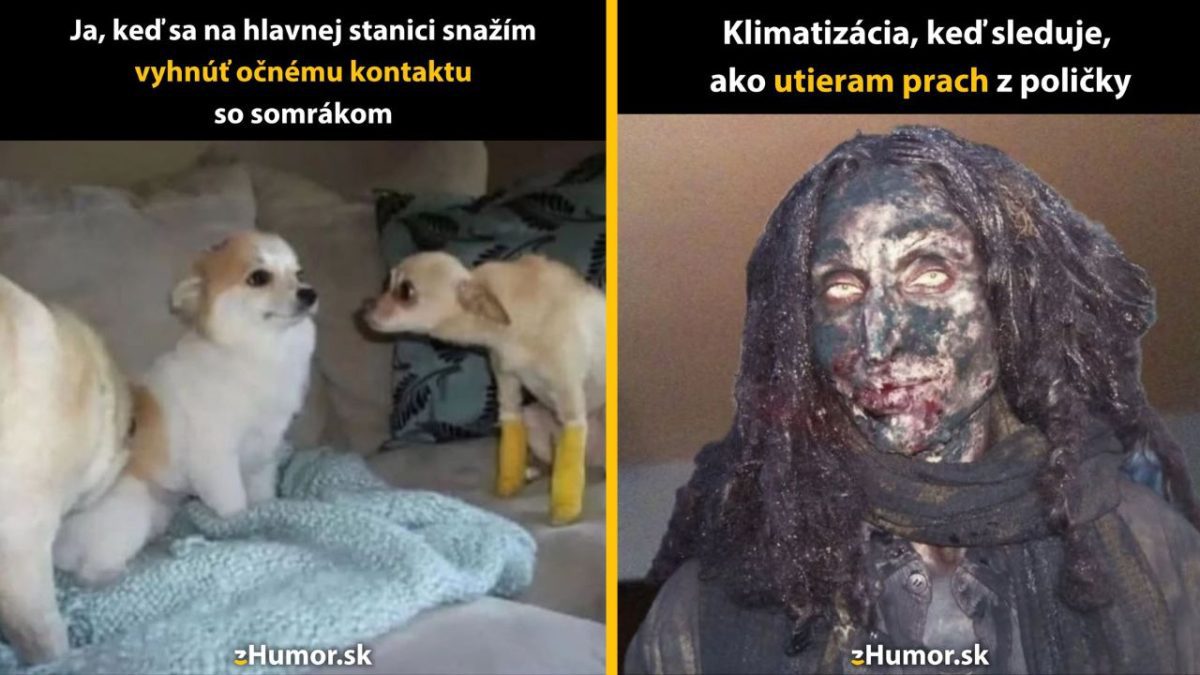 Dva vtipné porovnávacie obrázky s textom o vyhýbaní sa očnému kontaktu a čistení prachu.