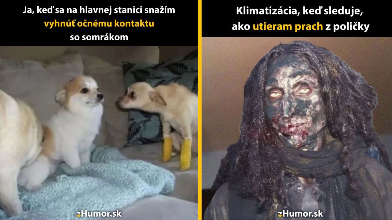 Dva vtipné porovnávacie obrázky s textom o vyhýbaní sa očnému kontaktu a čistení prachu.