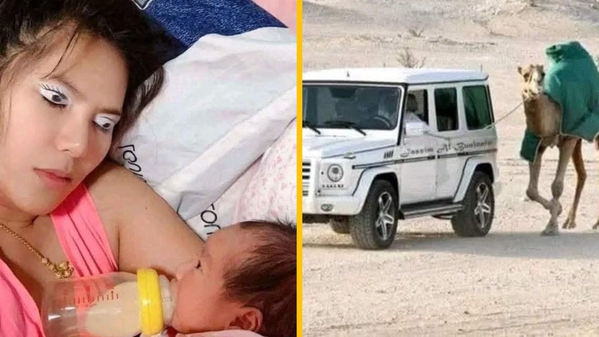 Žena kŕmi bábätko dojčenskou fľašou, vedľa auta vedie ťava. Kombinácia moderného života a prírody.