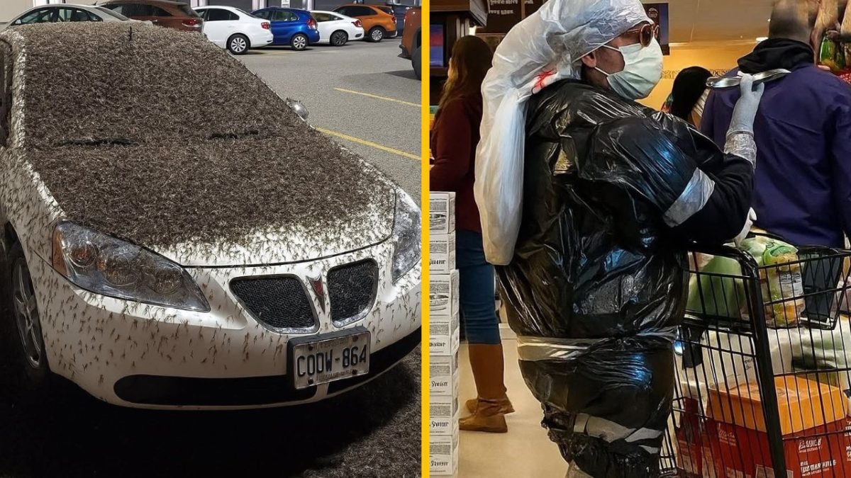 Auto pokryté hmyzom vedľa osoby s ochranou v obchode počas pandemického nákupu.