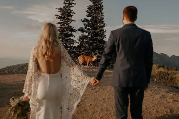 Nevesta a ženích v horách, držiac sa za ruky, s jelenom v pozadí uprostred lesa.
