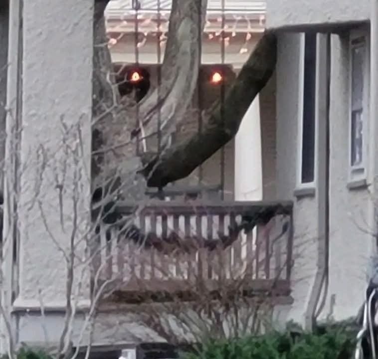 Vianočné svetlá na balkóne so stromom rastúcim cez zábradlie. Festívna atmosféra na zimný večer.