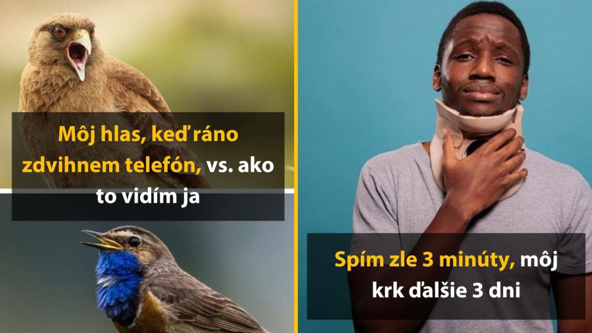 Vtipný obrázok: vták vedľa muža s ortézou na krku, texty o hlase a spánku.