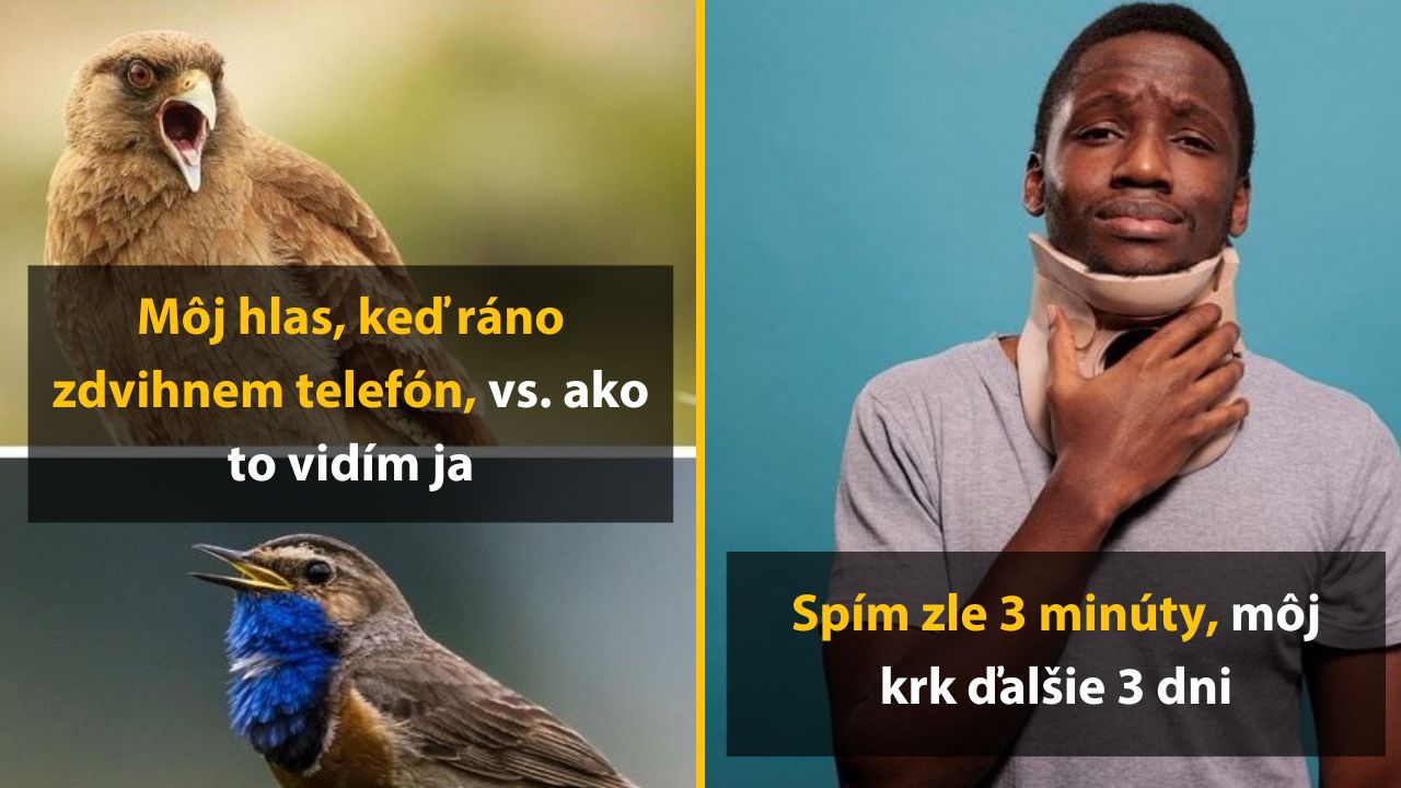 Vtipný obrázok: vták vedľa muža s ortézou na krku, texty o hlase a spánku.