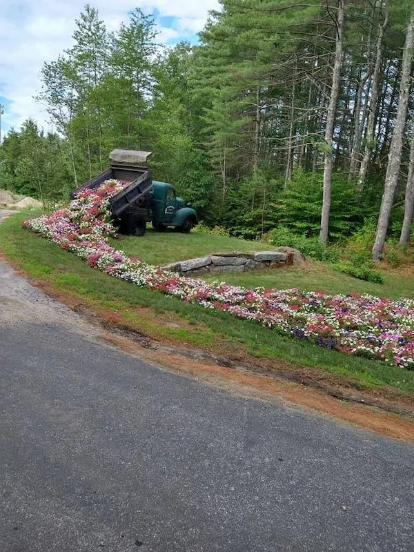 Nákladné auto vysypáva kvety popri ceste do prírody, tvorí pestrý kvetinový tok.