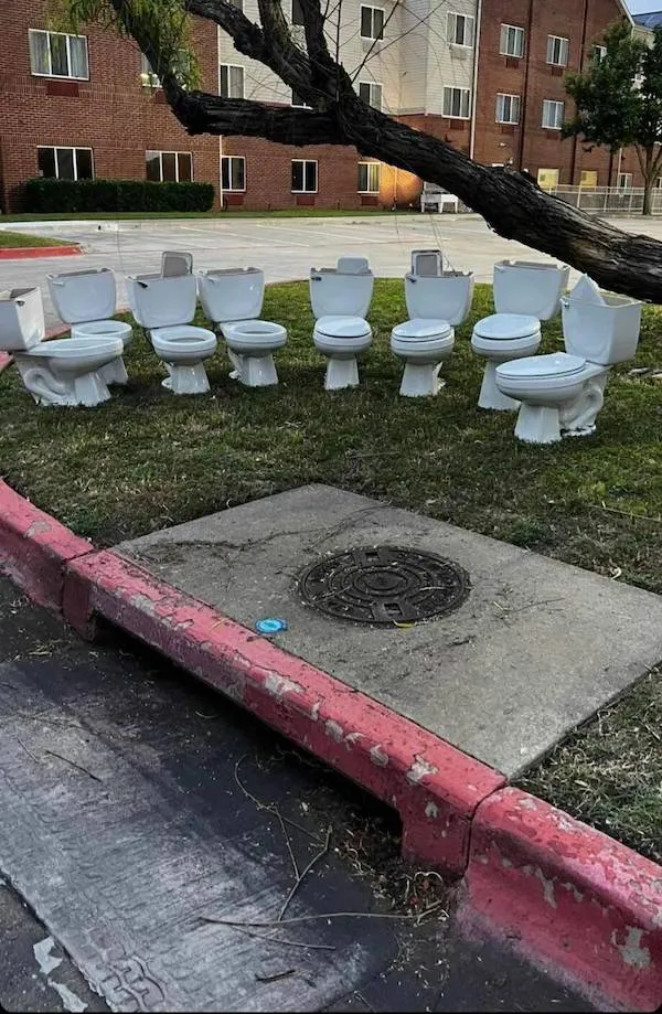 Rada záchodových misiek vonku na tráve v kruhu, vedľa stromu a červenej obrubníky pri budove.