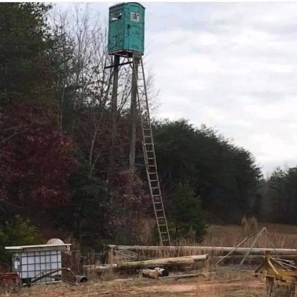 Vysoká zelená kadibudka na drevenej konštrukcii v lese s rebríkom opretým o ňu, príroda v pozadí.