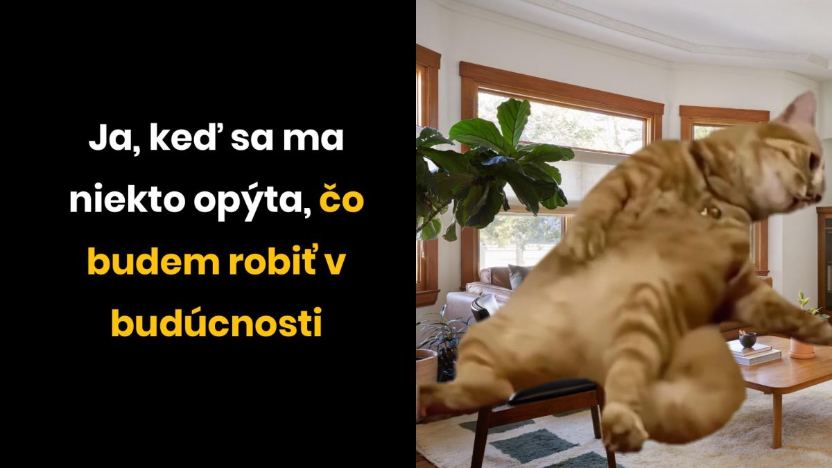 Vtipná momentka mačky padajúcej cez obývačku s textom o budúcich plánoch, vyjadrujúca nerozhodnosť a humor.