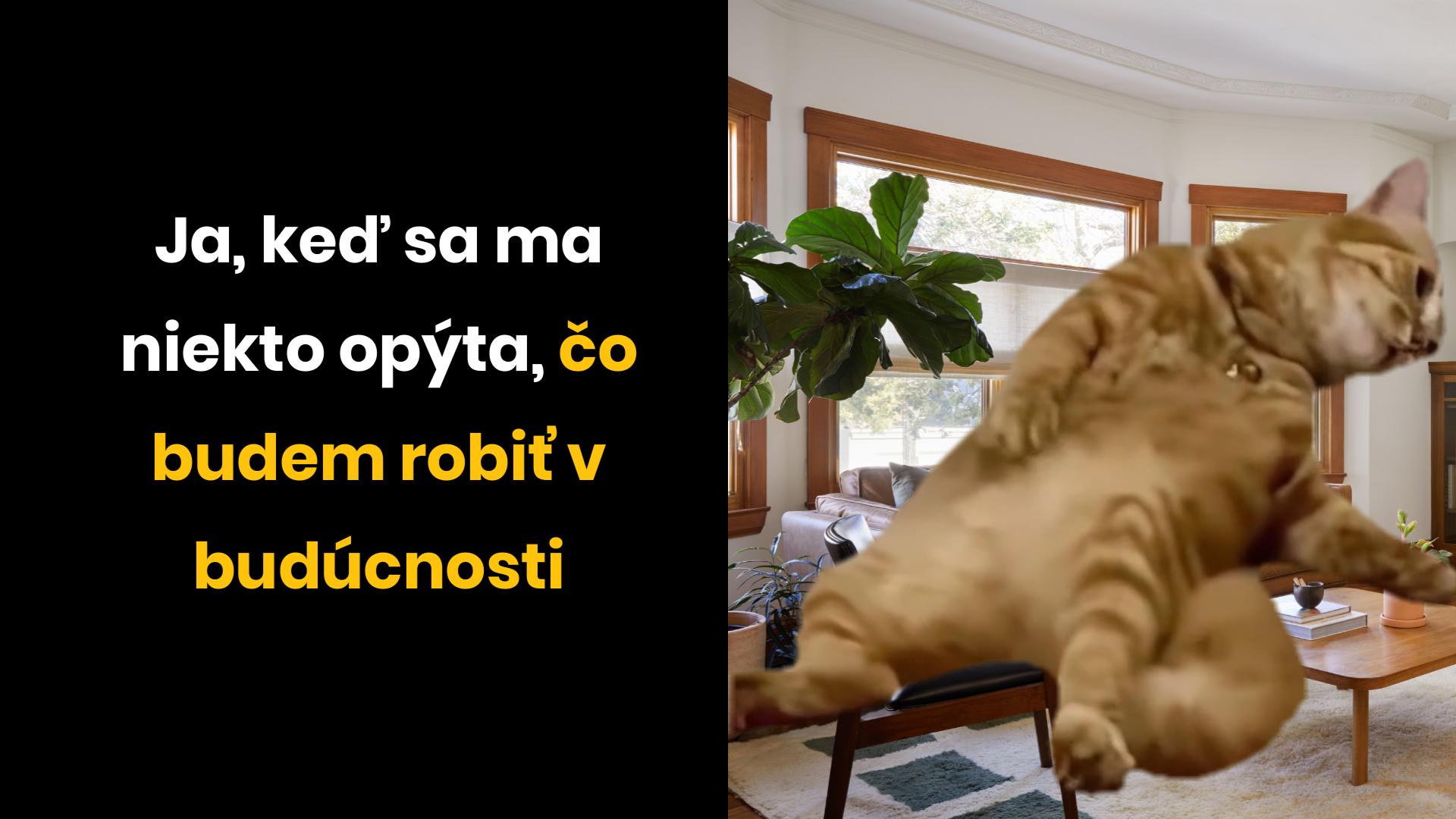Vtipná momentka mačky padajúcej cez obývačku s textom o budúcich plánoch, vyjadrujúca nerozhodnosť a humor.