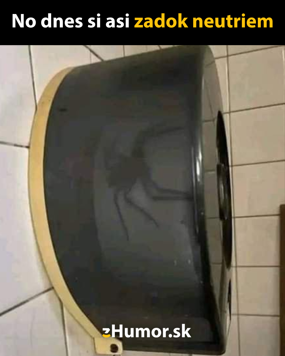 Držiak s toaletným papierom a veľkým pavúkom na záchode, ktorý vytvára strach a humornú situáciu.