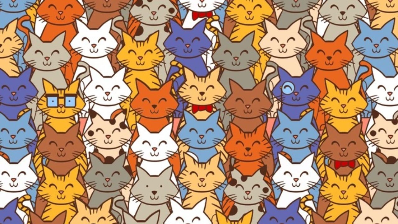 Odhaľte svoj tajný talent: Nájdete zajaca ukrytého medzi mačkami?