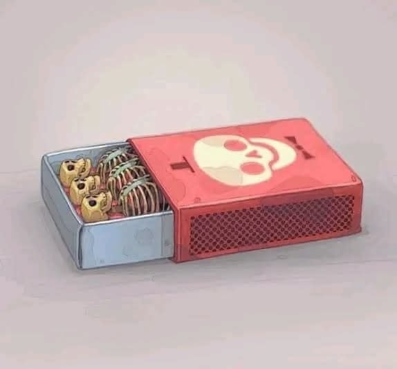 Ilustrácia krabičky so záhadnými kostrami a lebkou na veku, evokujúca tajomstvo a dobrodružstvo.