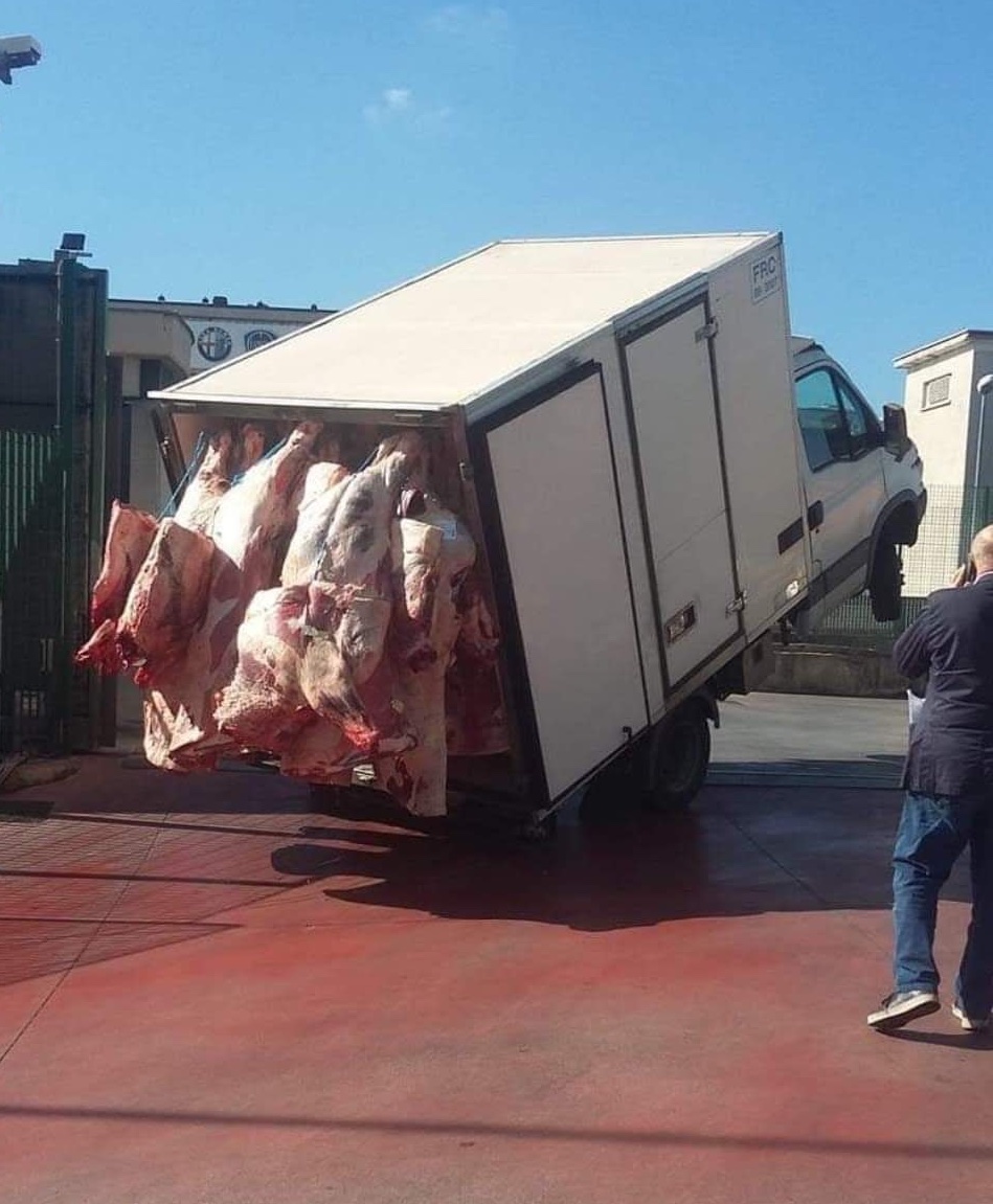 Nákladiak plný mäsa so zdvihnutou prednou časťou, ukazuje preťažený stav počas vykládky pri mäsiarstve.