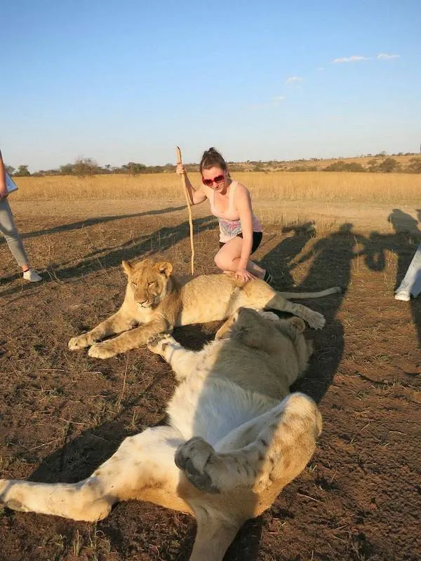 Žena pózuje s ležiacimi levmi na savane pod jasným modrým nebom.