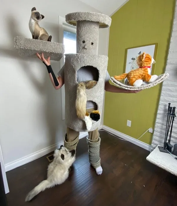 Osoba v kostýme škrabadla pre mačky s hračkami, obklopená mačkami v izbe s drevenou podlahou.