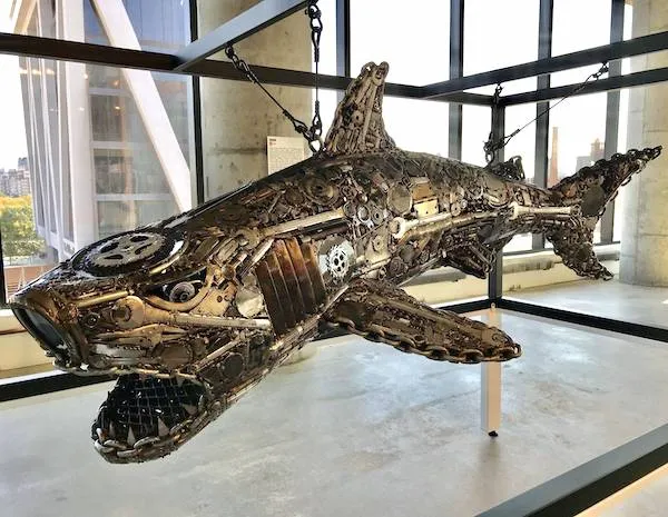 Socha žraloka z recyklovaného kovového šrotu vystavená v modernej budove s veľkými oknami.