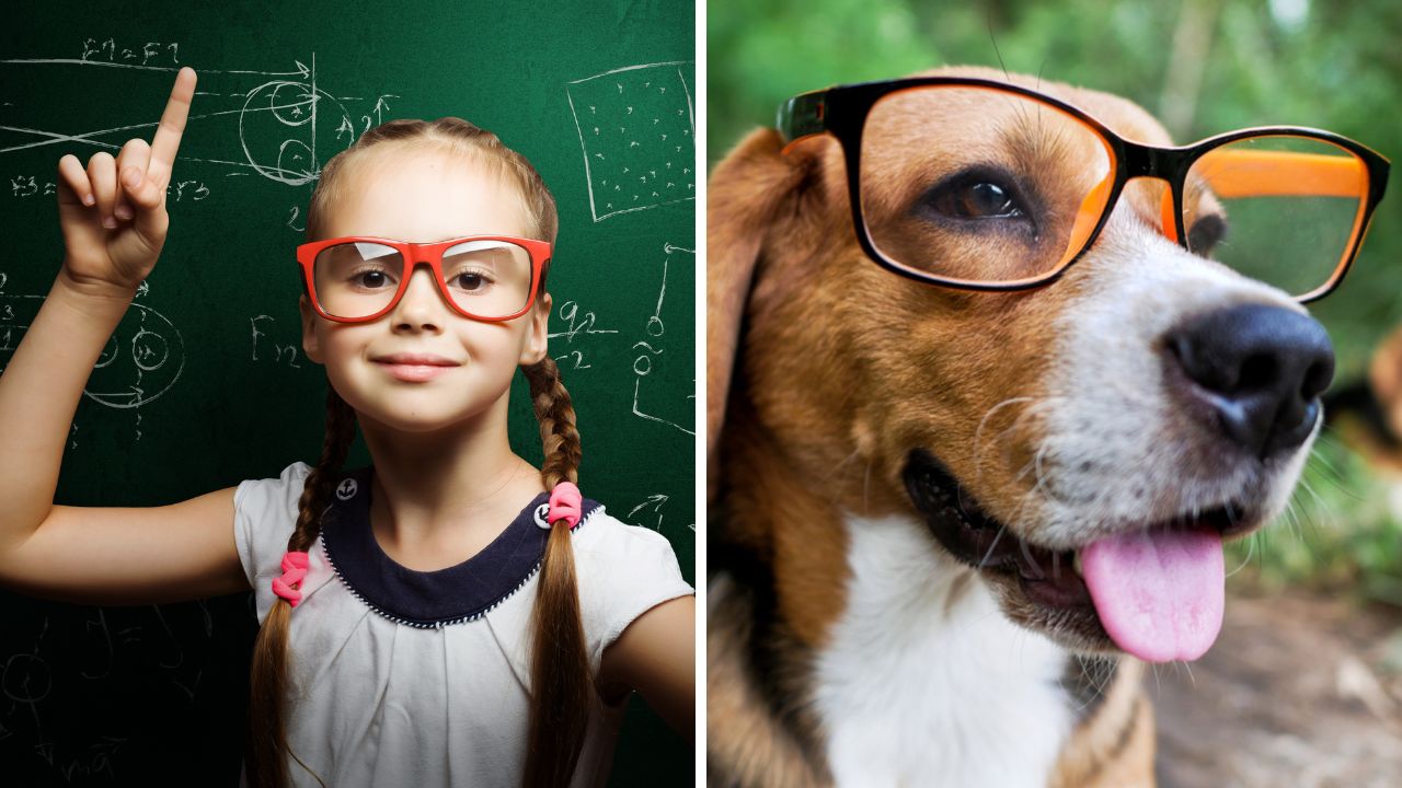 Dáte to na plný počet? Tento vedomostný kvíz by mal byť pre vás hračka!