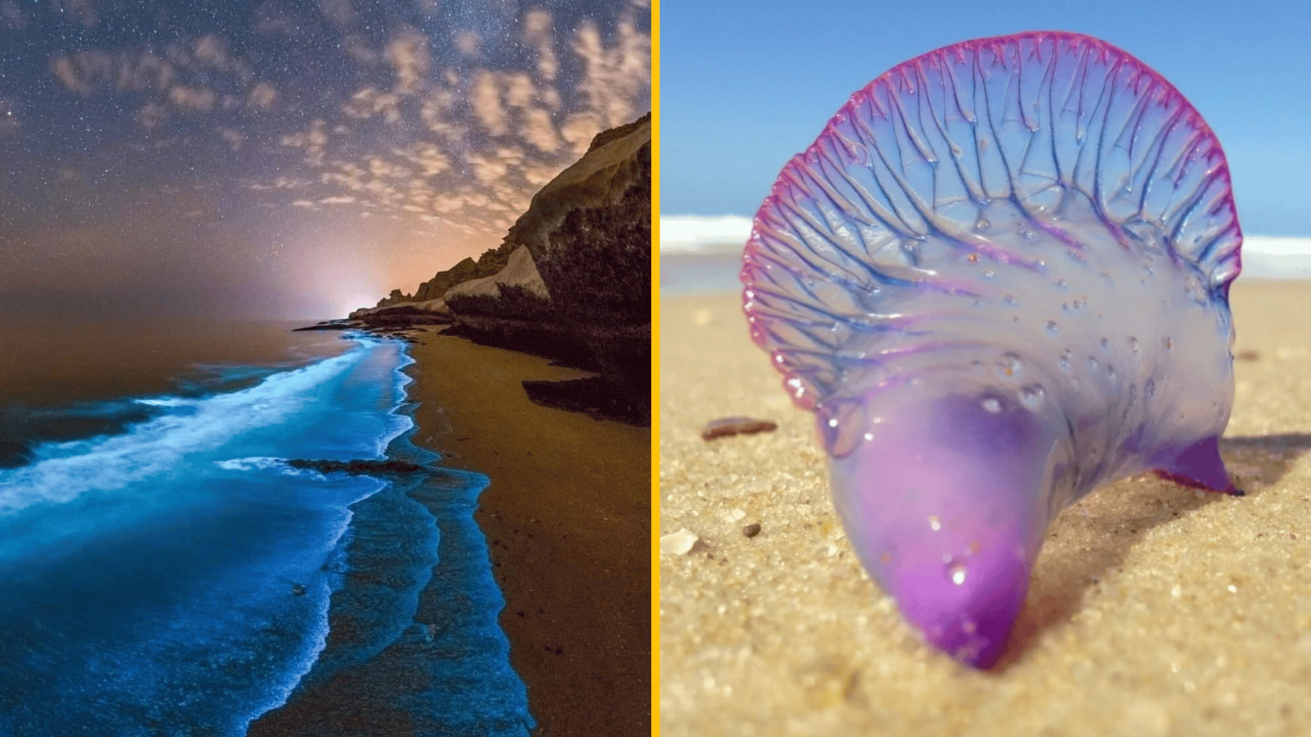 14 prírodných majstrovských diel, ktoré vznikli úplnou náhodou