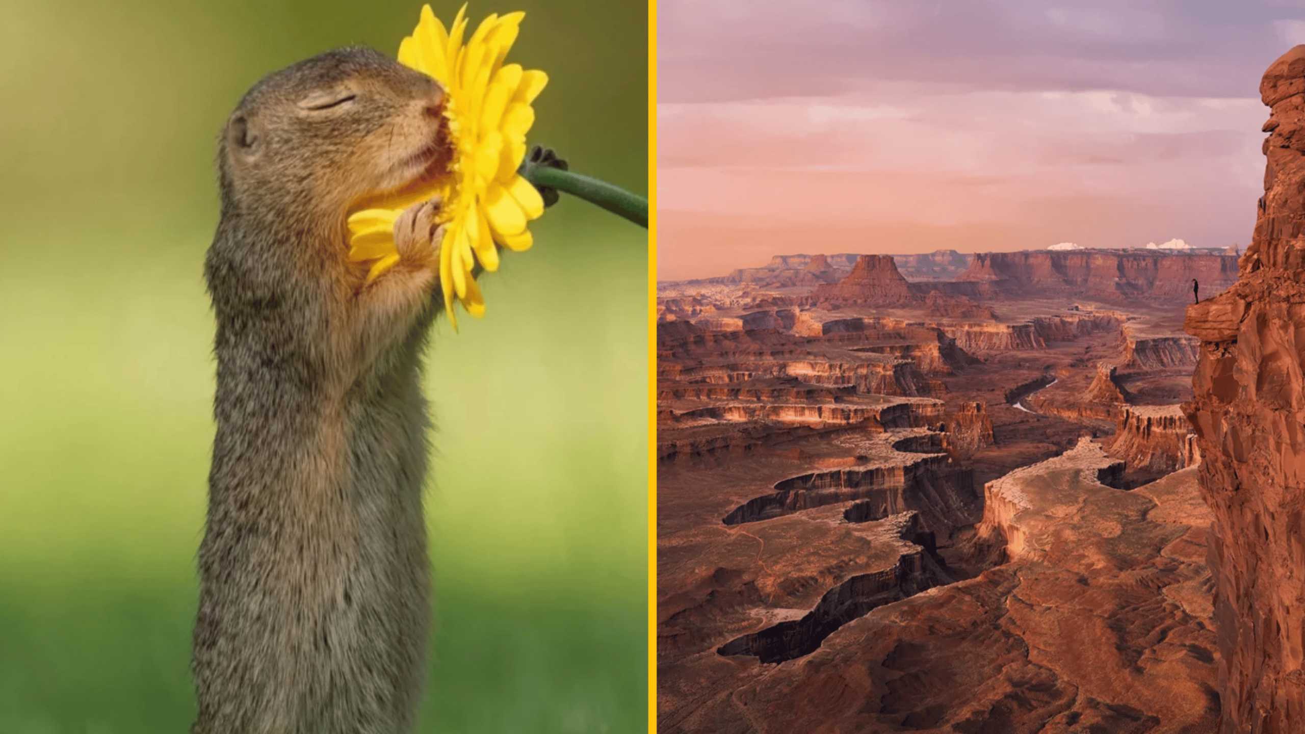 10 obrázkov darov prírody, ktoré vás ohromia